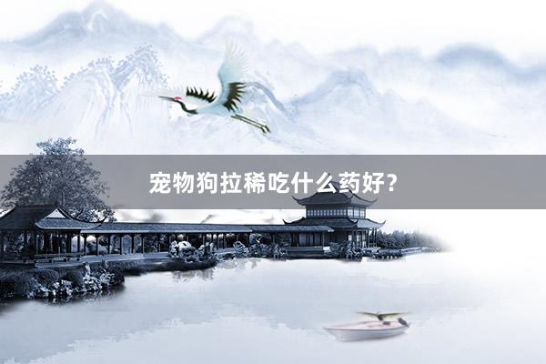 宠物狗拉稀吃什么药好？